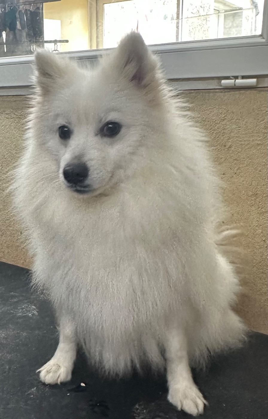 VULTHURYOL ESMEE Of Fantasia Lover Land