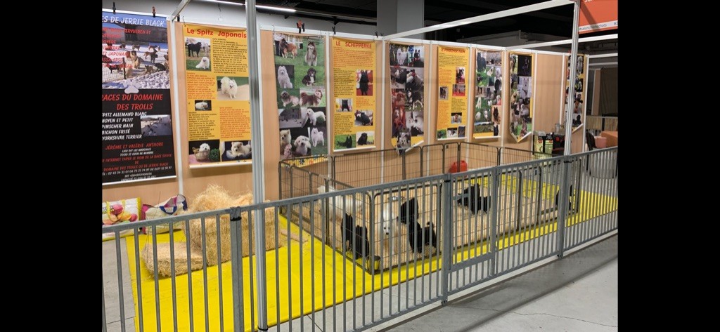 PARIS ANIMAL EXPO A VERSAILLES